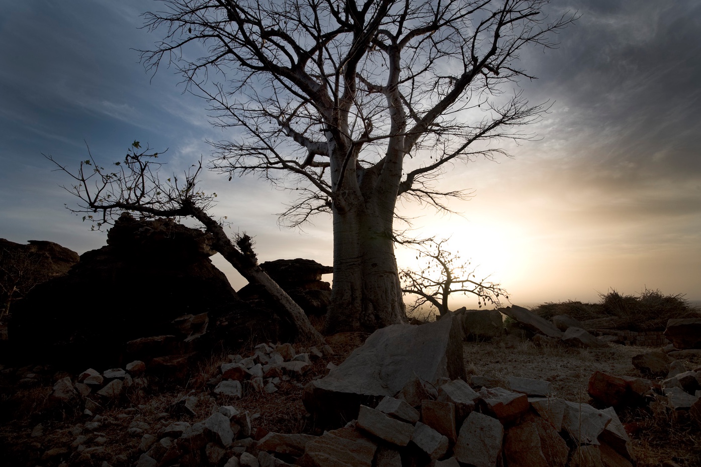 Emotions en pays dogon